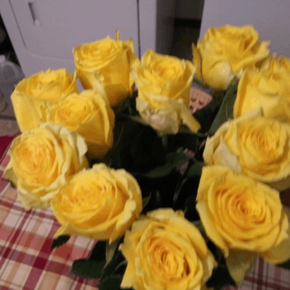 Meet your Posher, Ashly - Picture 2 of 2